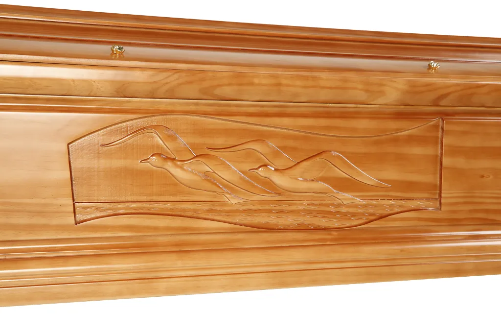 Clarté Goéland M1.5 (3).JPG.webp