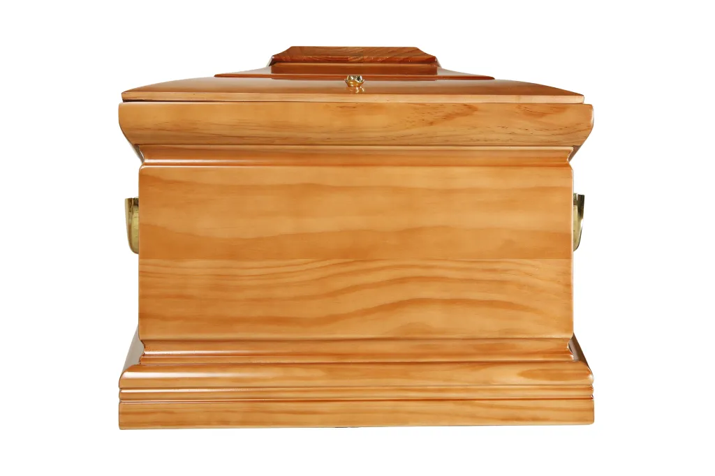 Clarté Goéland M1.5 (6).webp