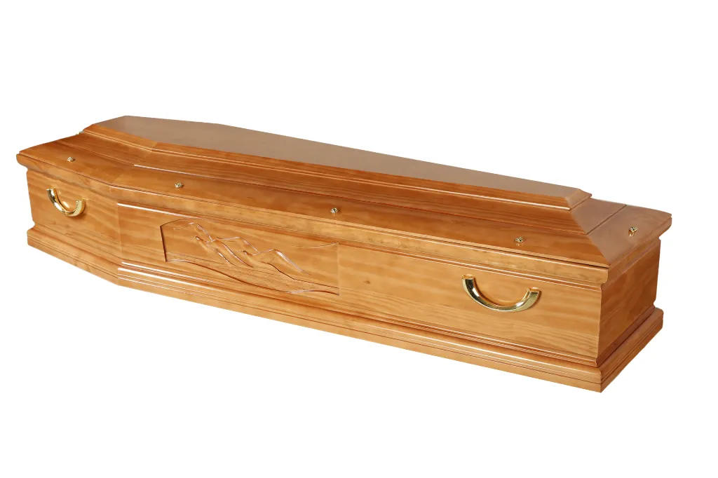 Clarté Goéland M1.5 (2).webp