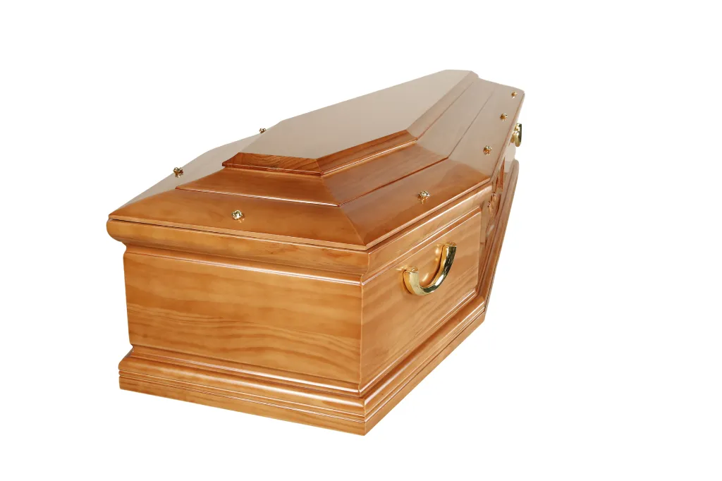 Clarté Goéland M1.5 (5).webp