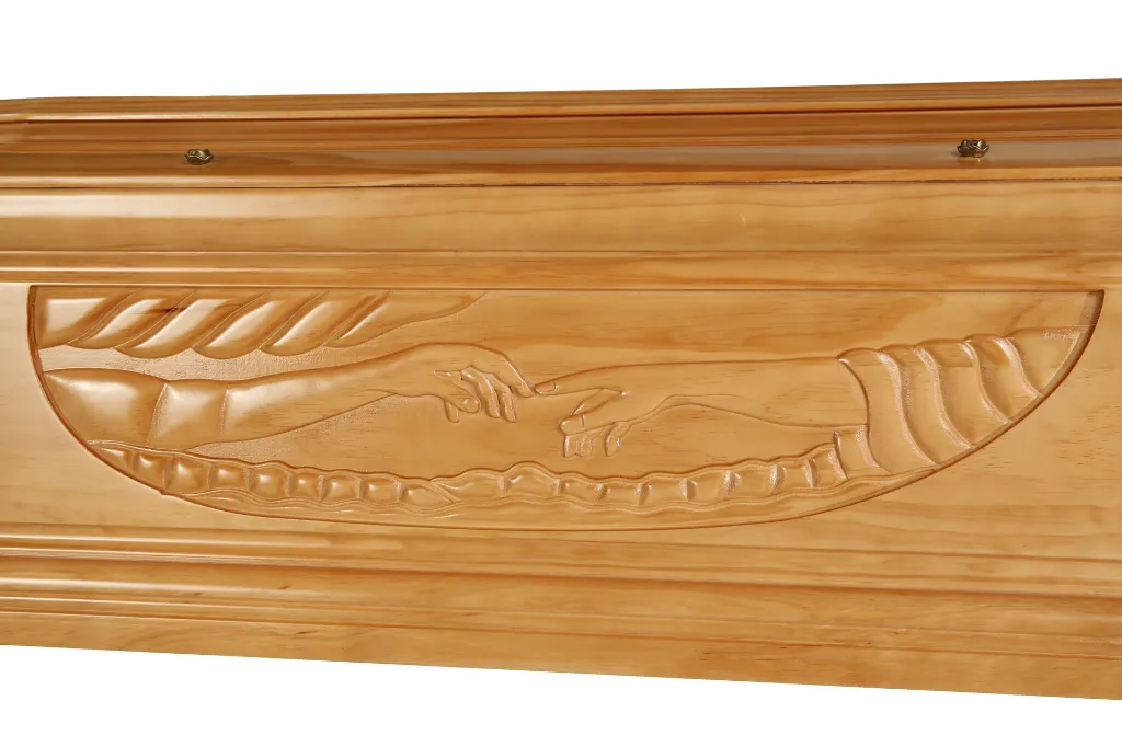 Clarté Création T2 (5).webp