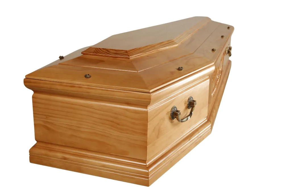 Clarté Création T2 (6).webp