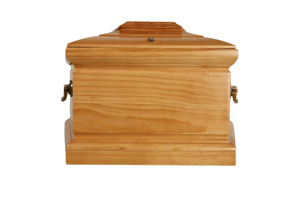 Clarté Création T2 (7).webp