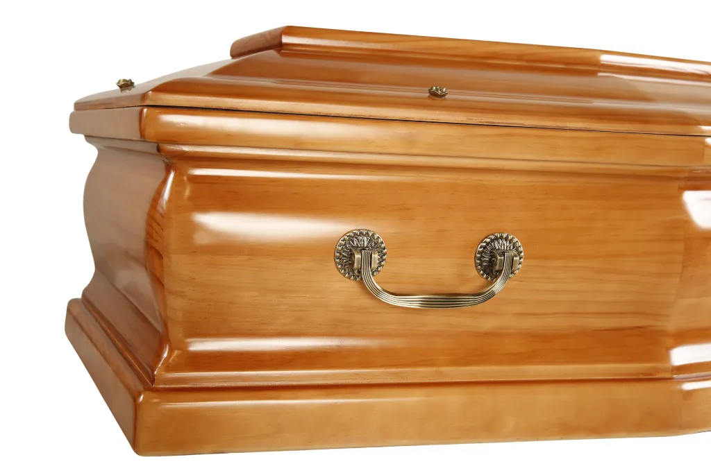 Eterna M1.5 (6).webp