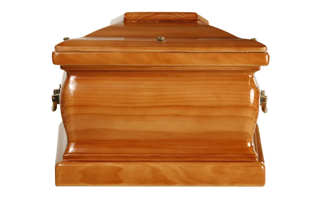 Eterna M1.5 (5).webp