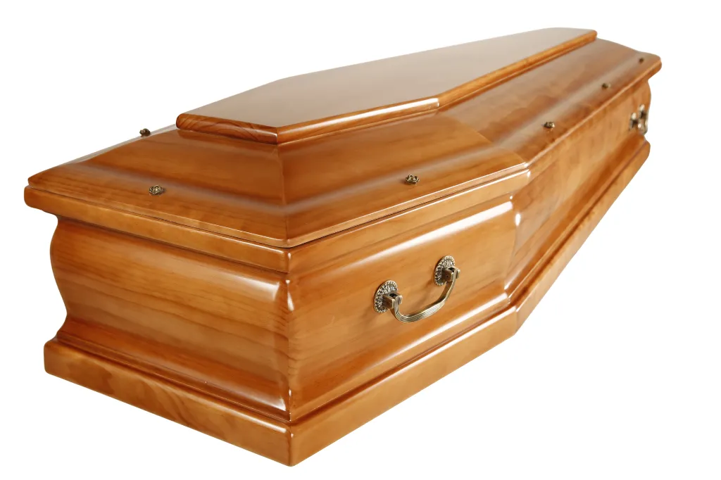 Eterna M1.5 (4).webp