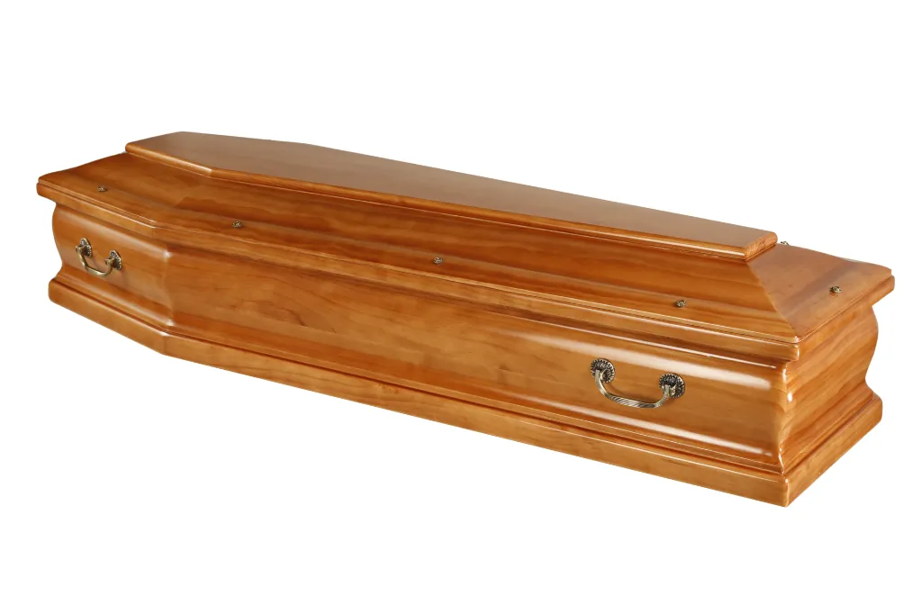 Eterna M1.5 (2).webp