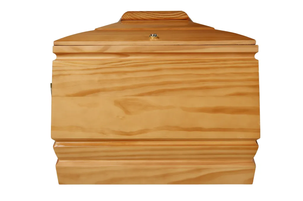 Floria T2 LSF (5).webp