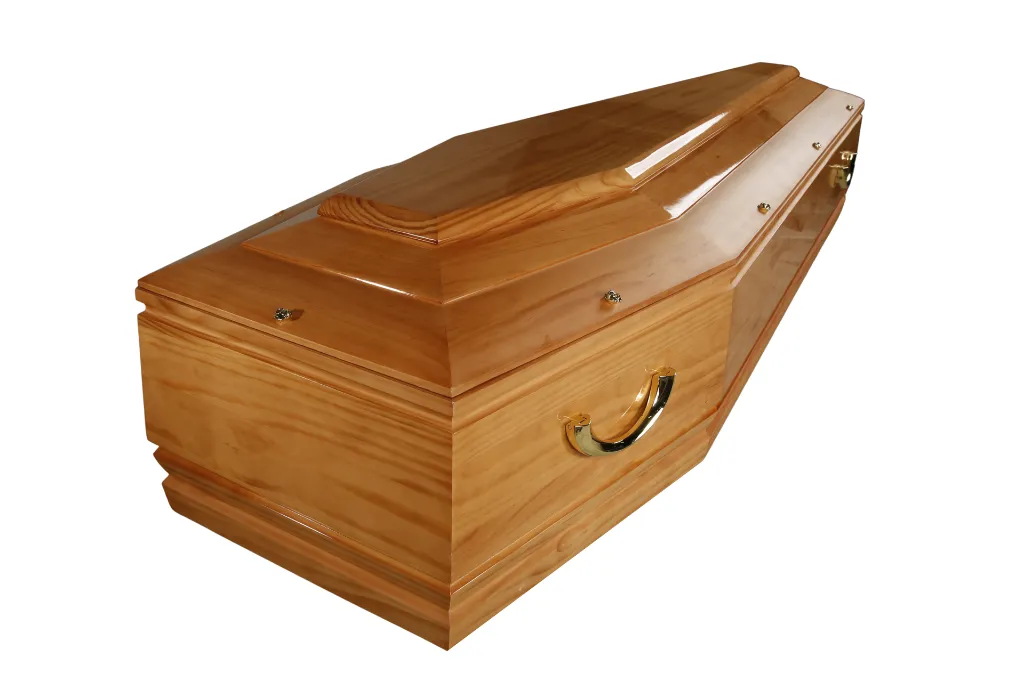 Floria T2 LSF (6).JPG.webp