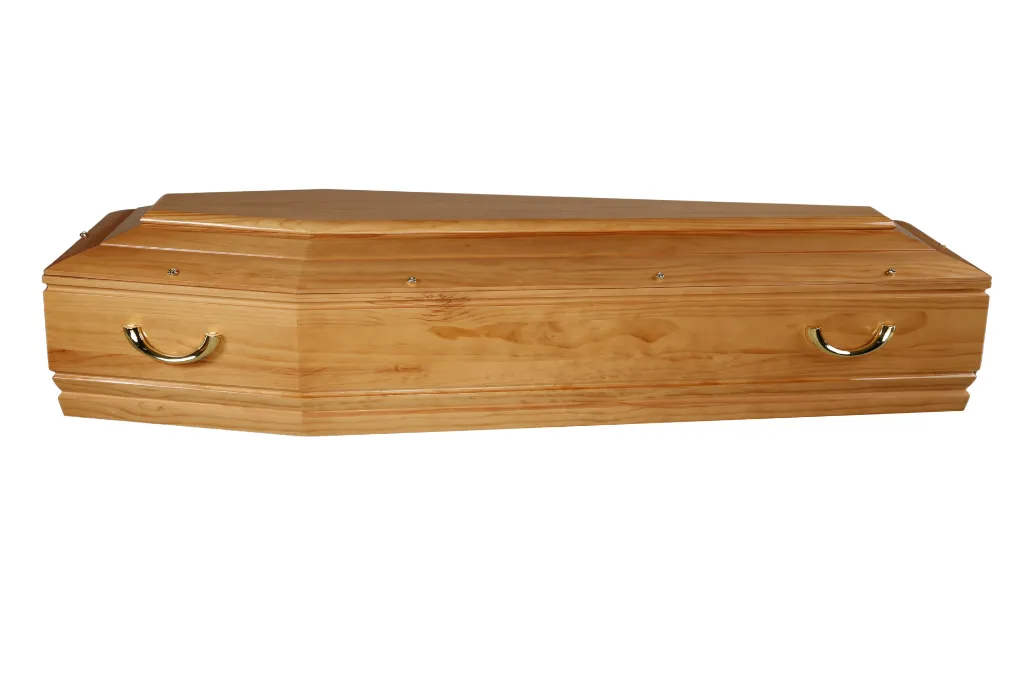 Floria T2 LSF (3).webp