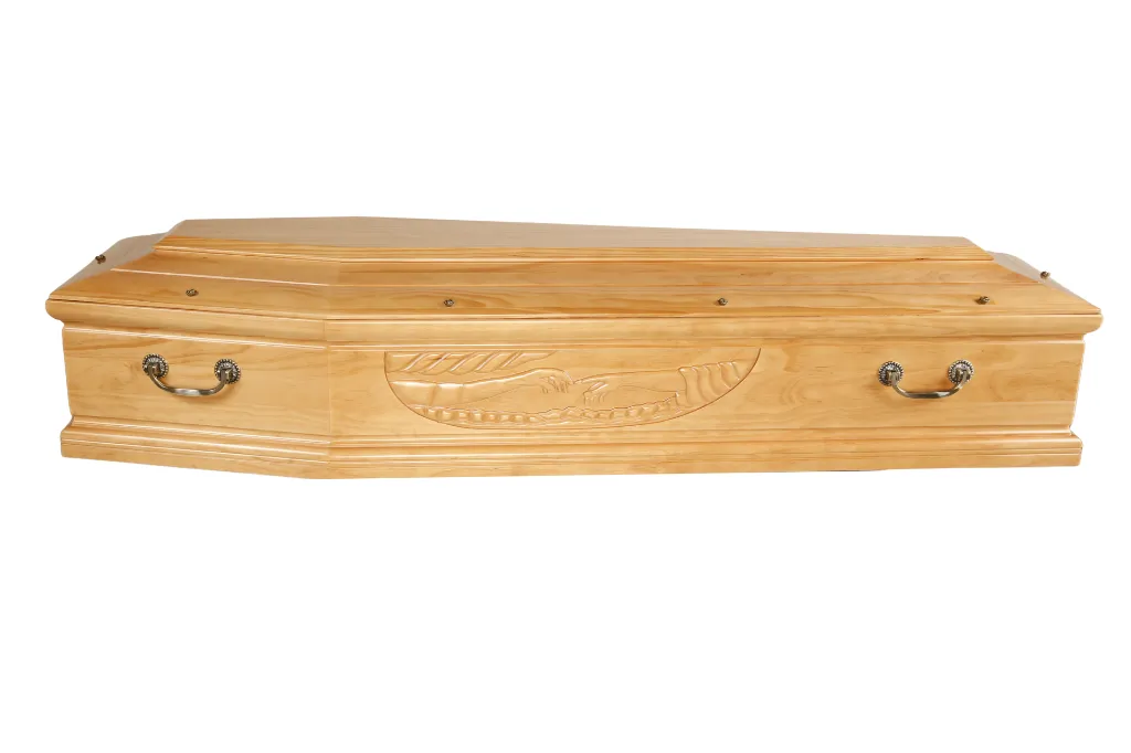 Clarté Création T2 (3).webp