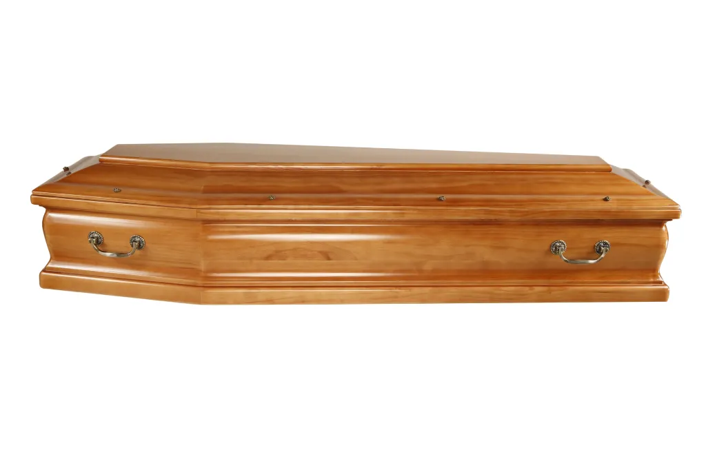 Eterna M1.5 (3).webp