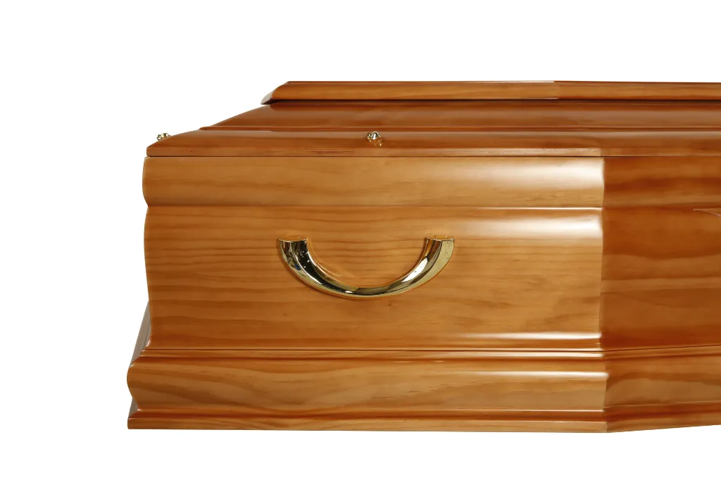 Prestige Marie24 M1.5 (5).webp