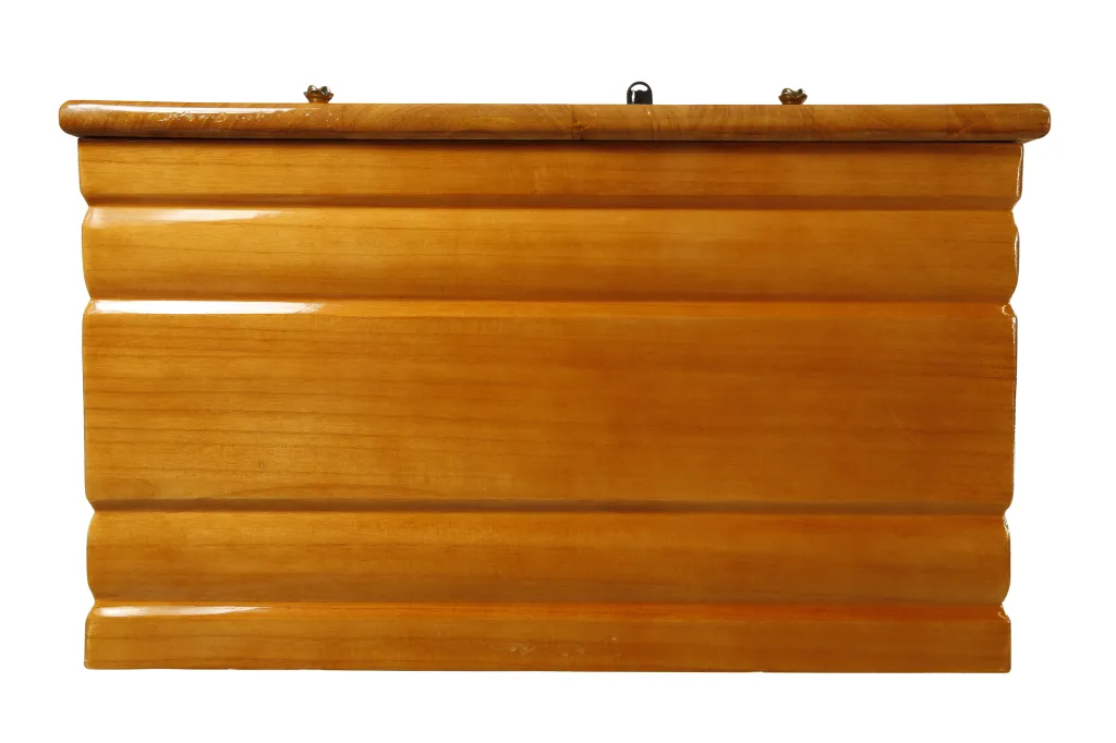 Zefir T060 SH (9).webp