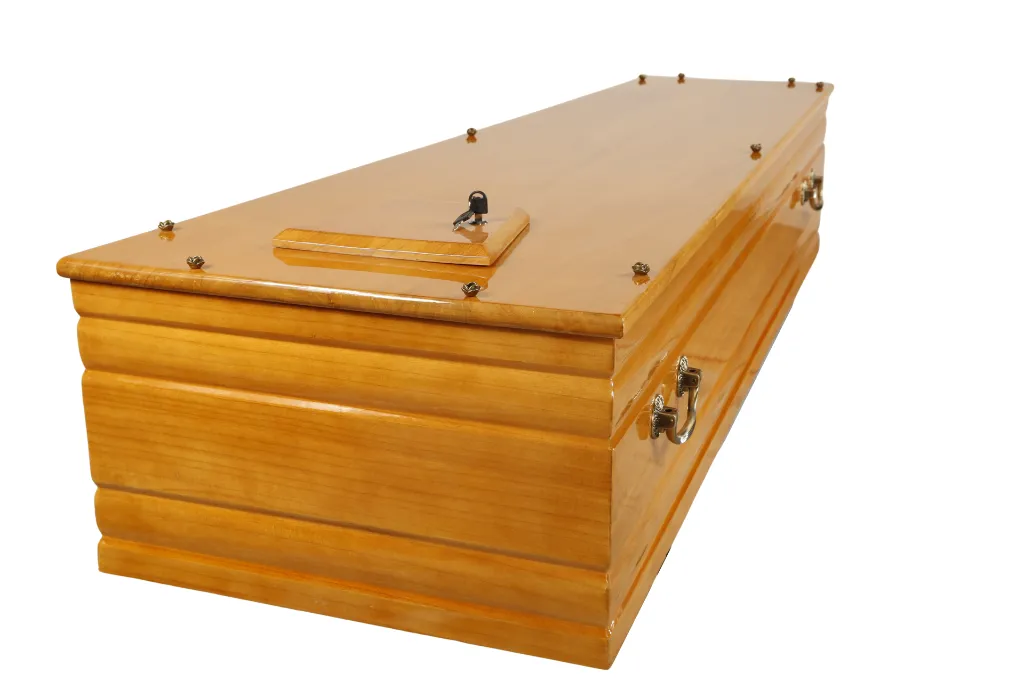 Zefir T060 SH (8).webp