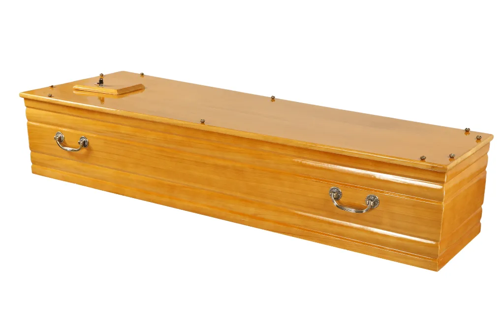 Zefir T060 SH (3).webp