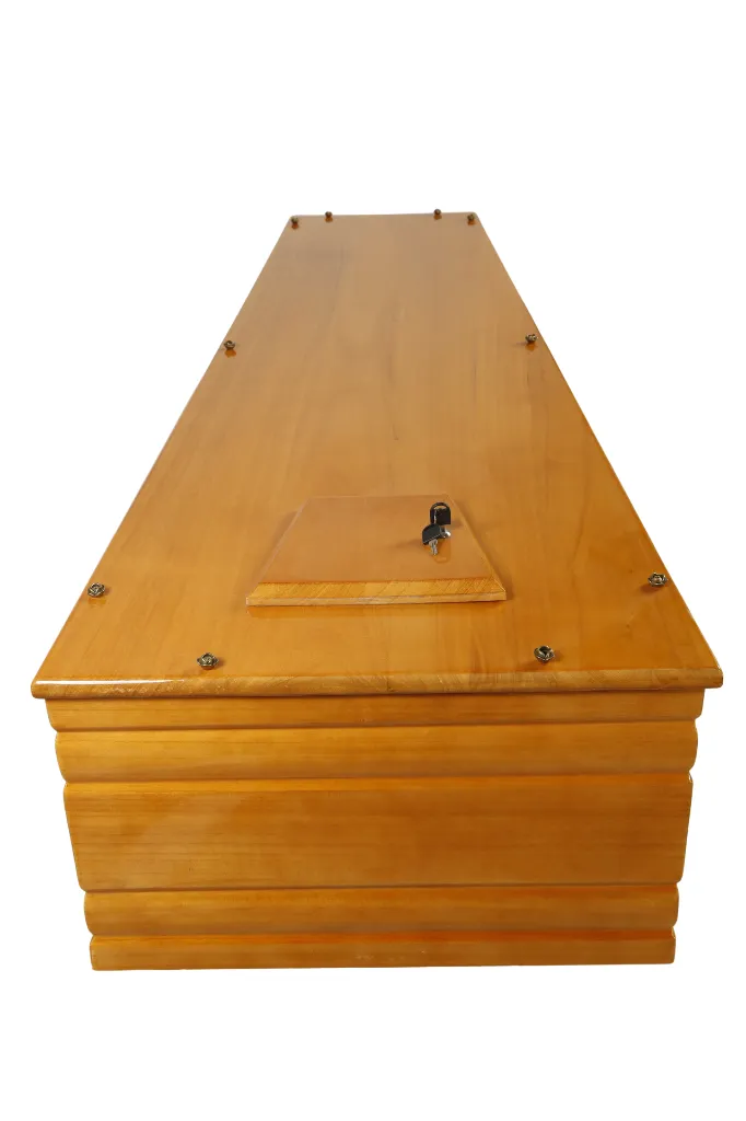 Zefir T060 SH (10).webp