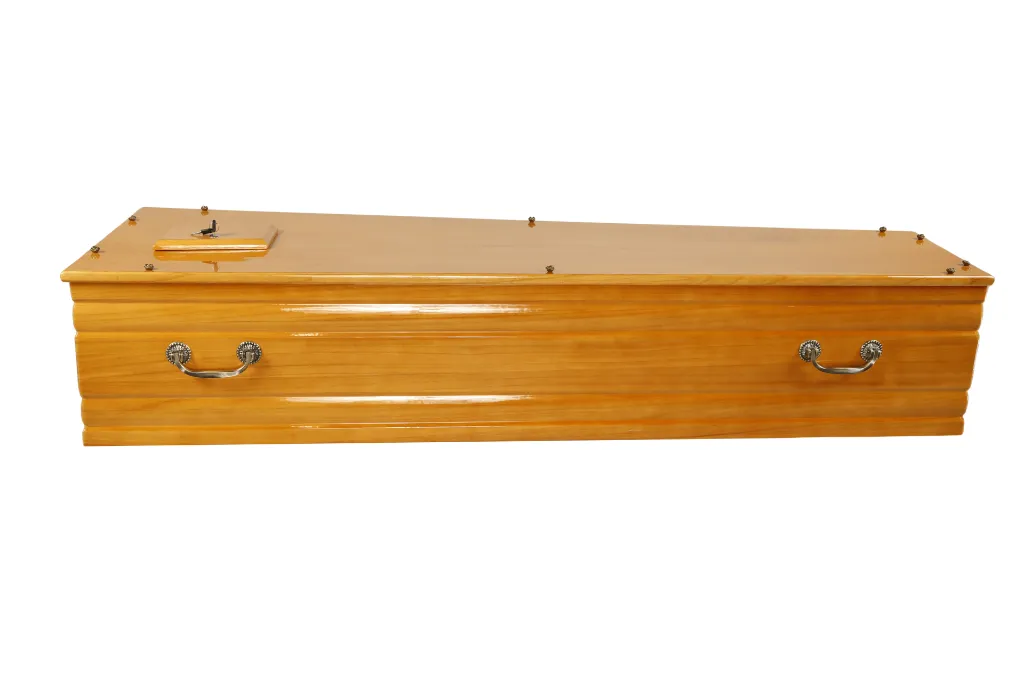 Zefir T060 SH (5).webp