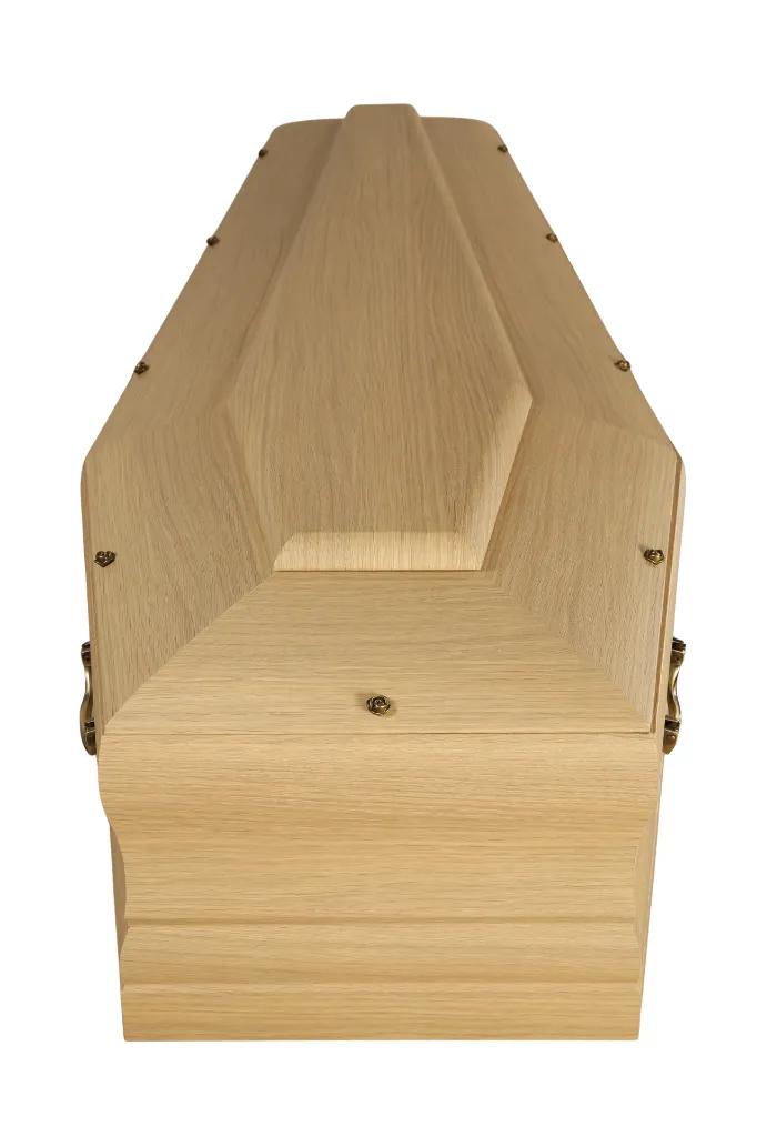 Eco Millenium Rov1351 (6).webp